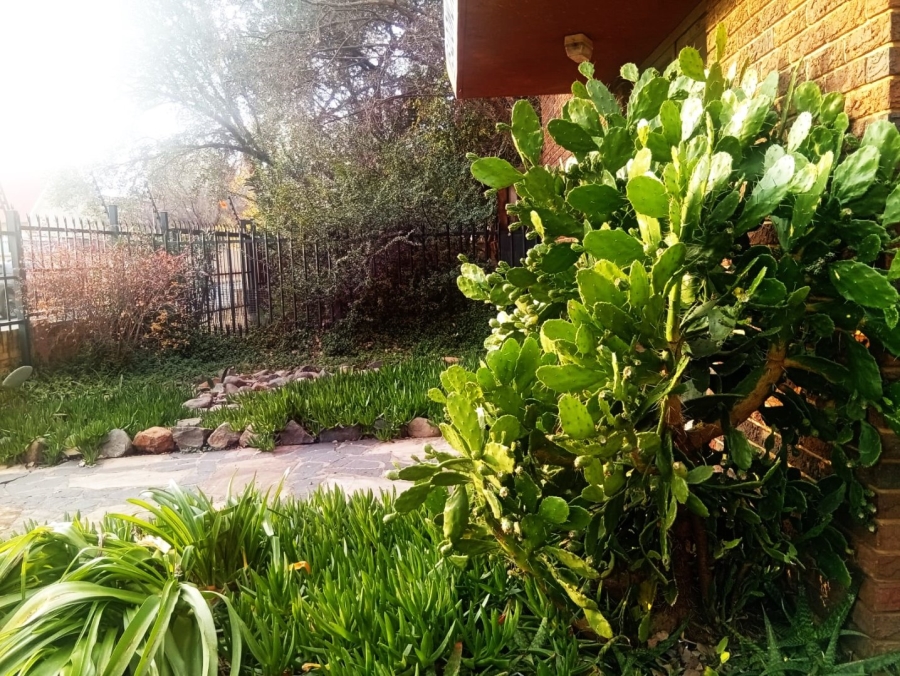 2 Bedroom Property for Sale in Westdene Free State